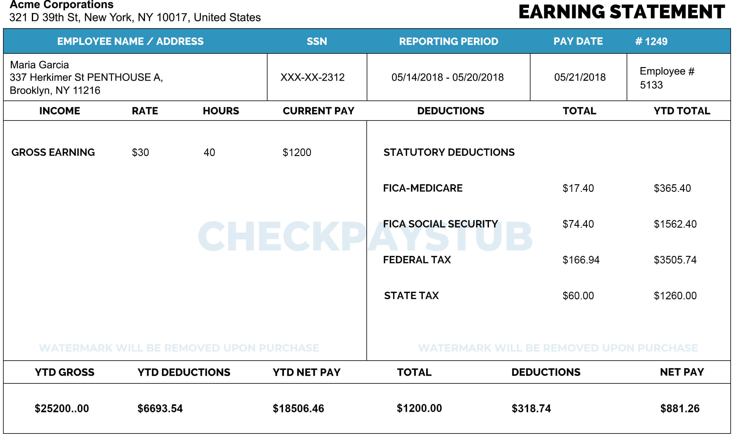 Download Pay Stub Template Check Pay Stub