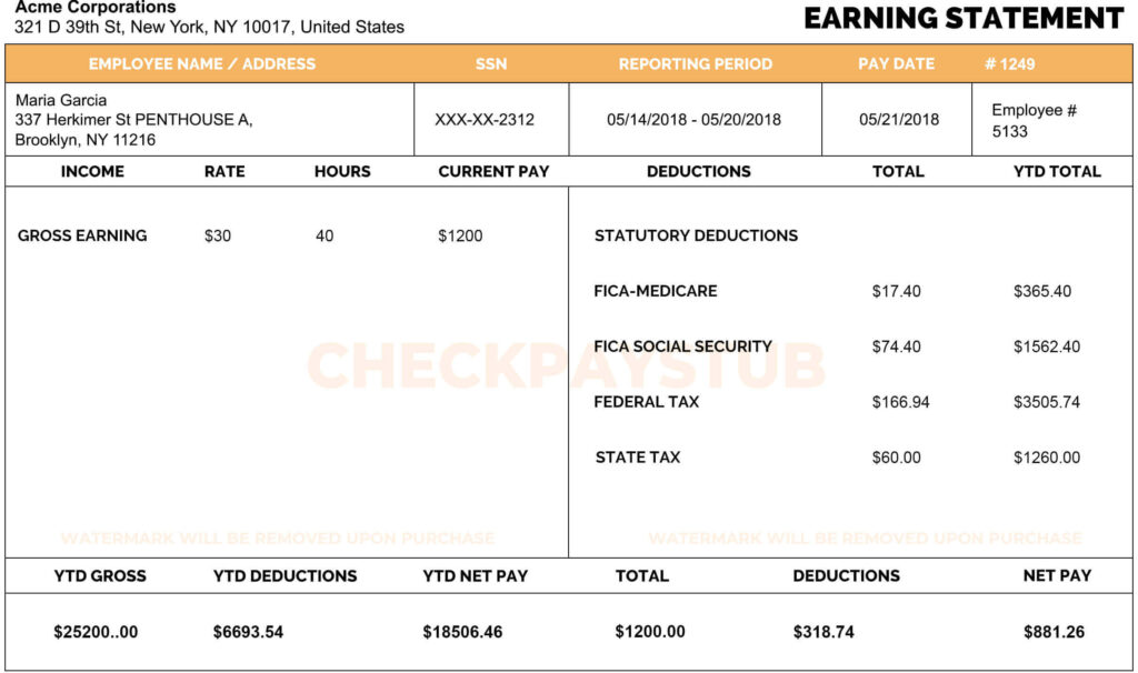 Paystub Templates