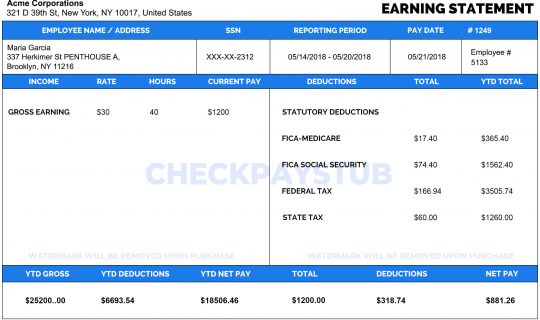 Check Stubmaker Paystub Generator Paystub Maker Check Pay Stub